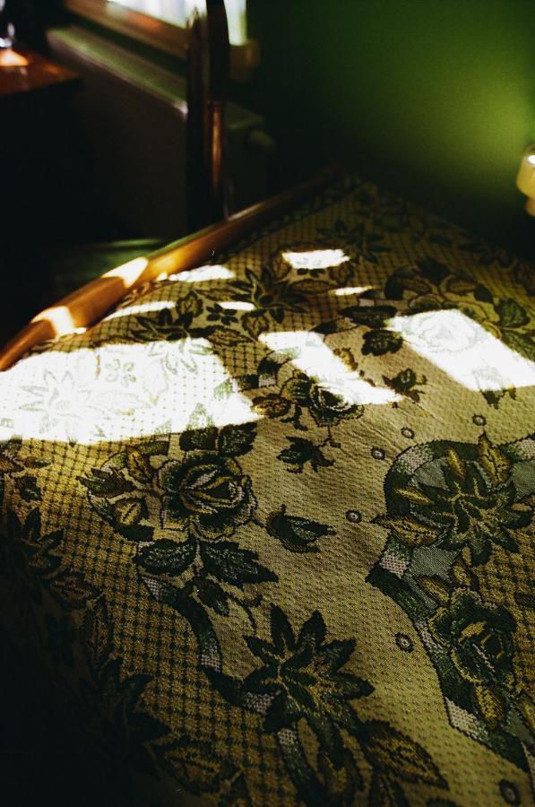 Willa Tradicionalna Kuca Biljkinog Oca Lug Zewnętrze zdjęcie